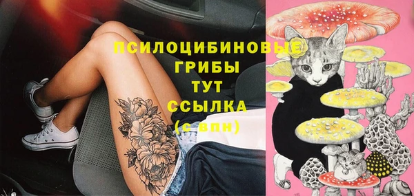 mix Алексин