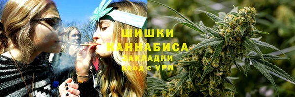 дмт Алзамай