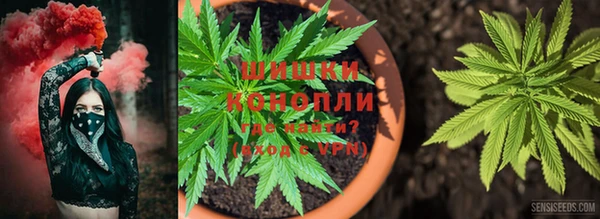 спайс Алексеевка