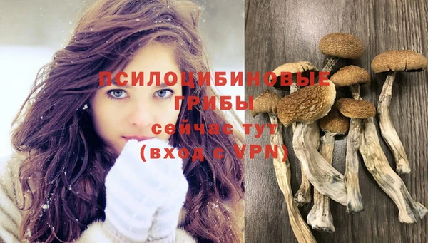 mix Алексин