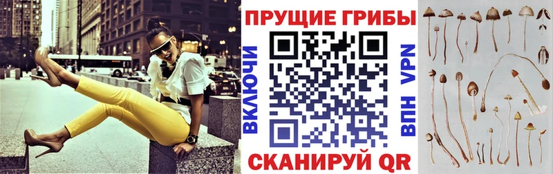 МЕГА ССЫЛКА  купить наркоту  Юрьев-Польский  Галлюциногенные грибы мухоморы 